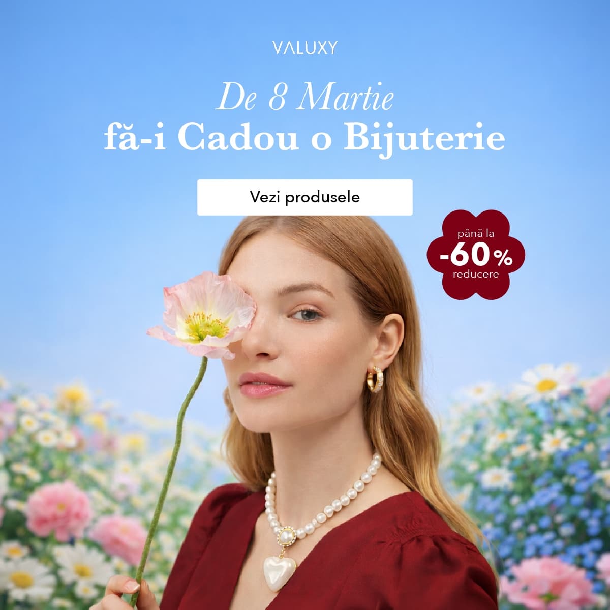 Valuxy Jewelry performance ad creative 3 by Advirals
