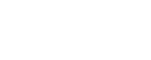 Meta Business Partner