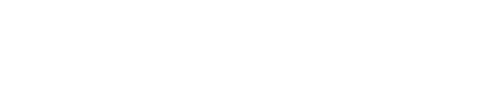 Shopify Partner