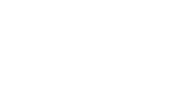 Bluzat